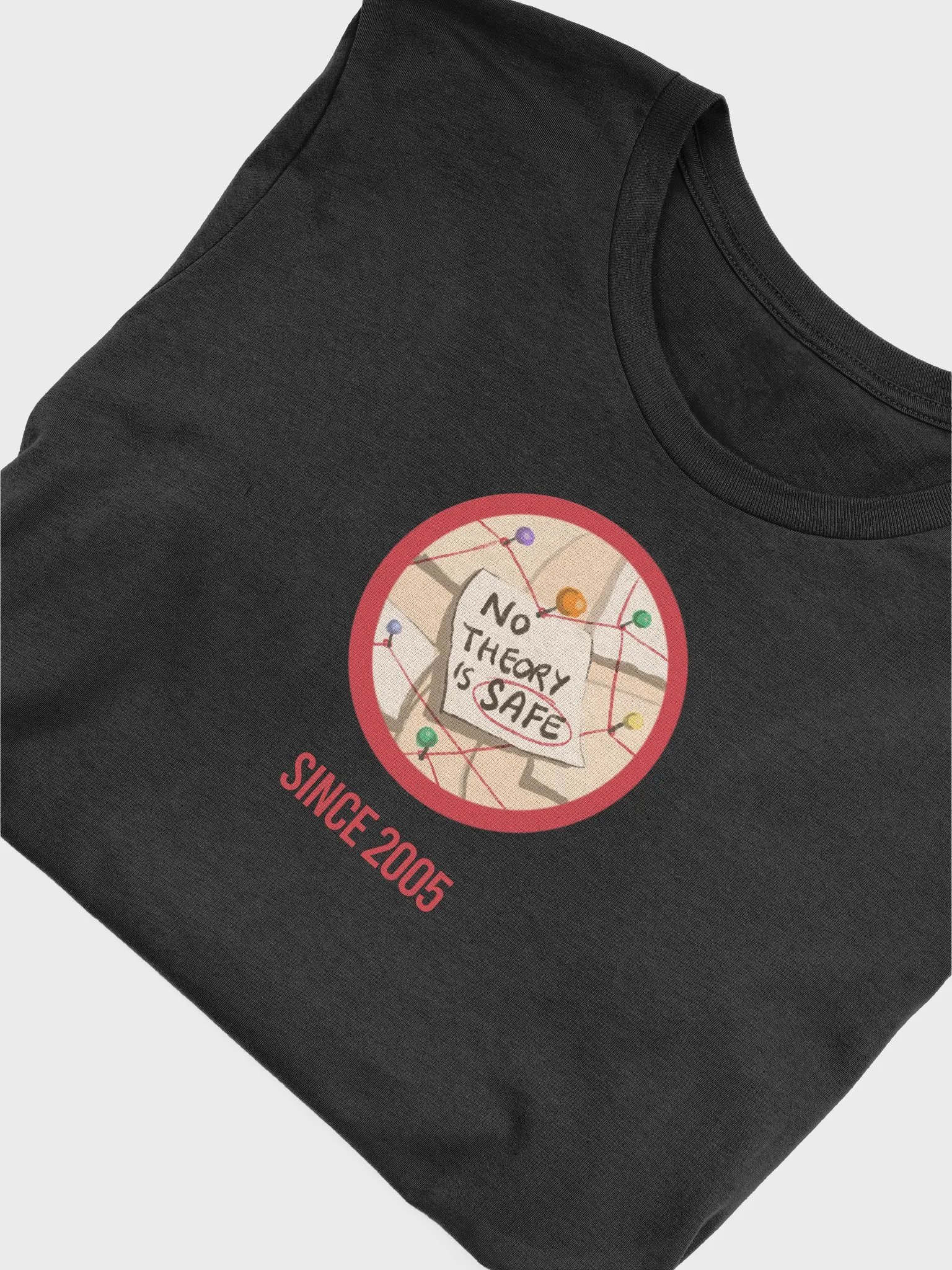 'No Theory is Safe' T-Shirt product image (5)