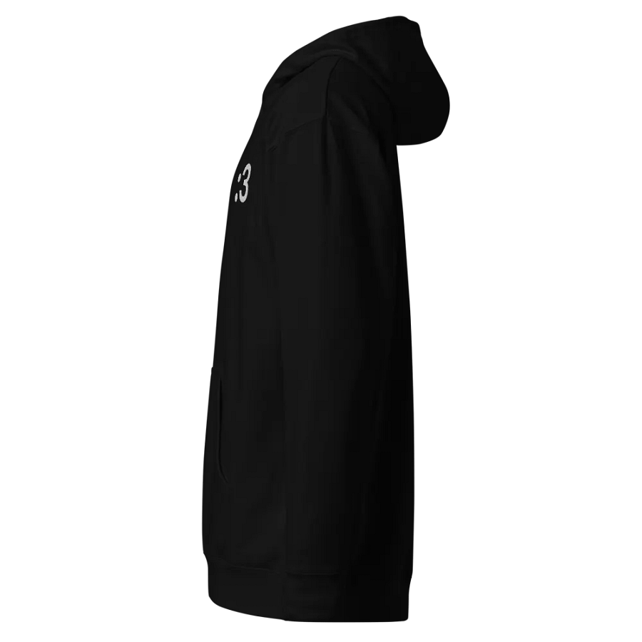 :3 Embroidered Hoodie product image (3)