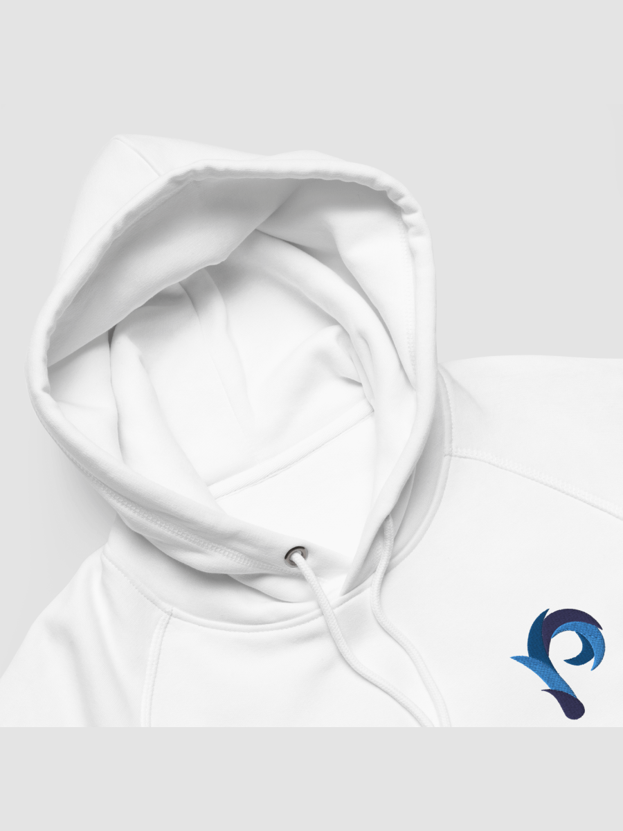 PP Hoodie - Side Pockets // Embroidered product image (4)