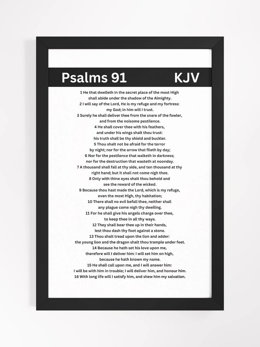 Psalms 91 product image (4)