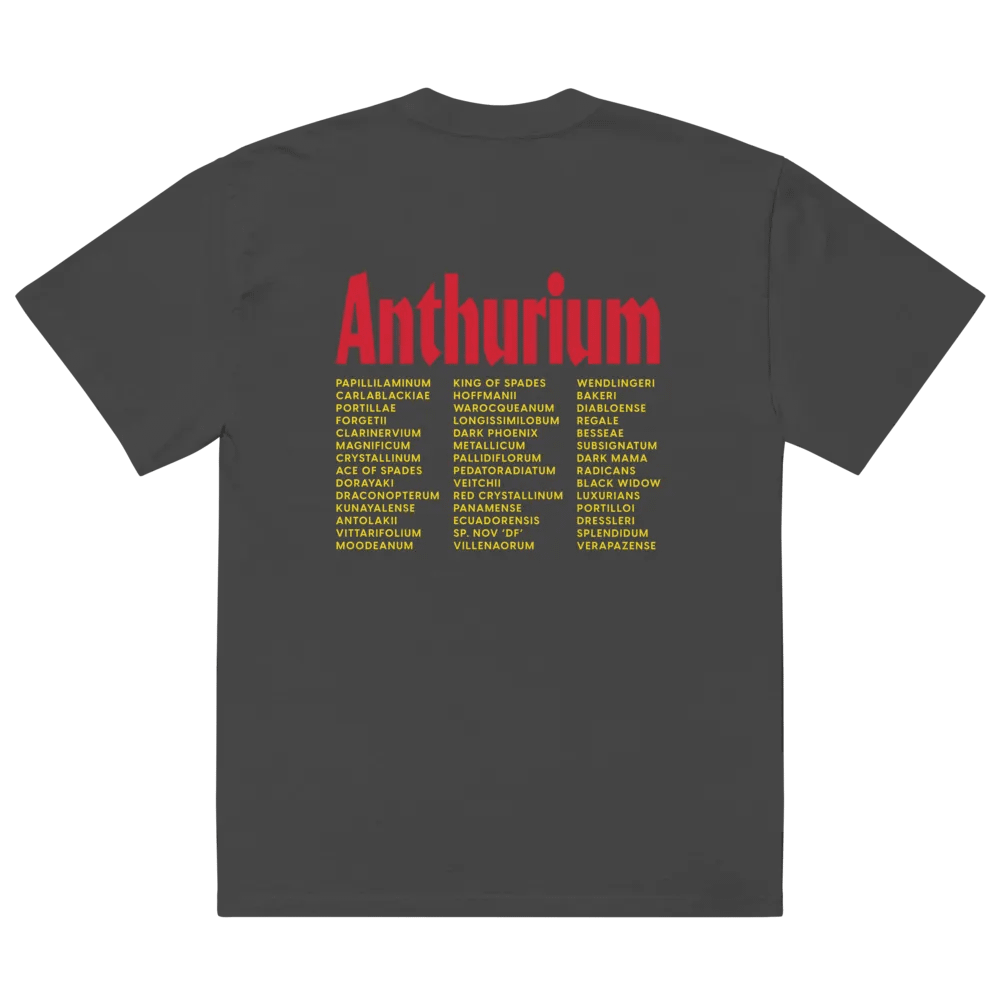 ⚡️ ANTHURIUM WORLD TOUR ⚡️ oversized tee product image (4)
