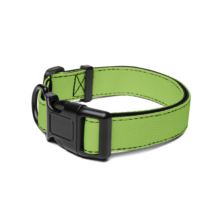 Swamp Chomps Collar - Green product image (2)