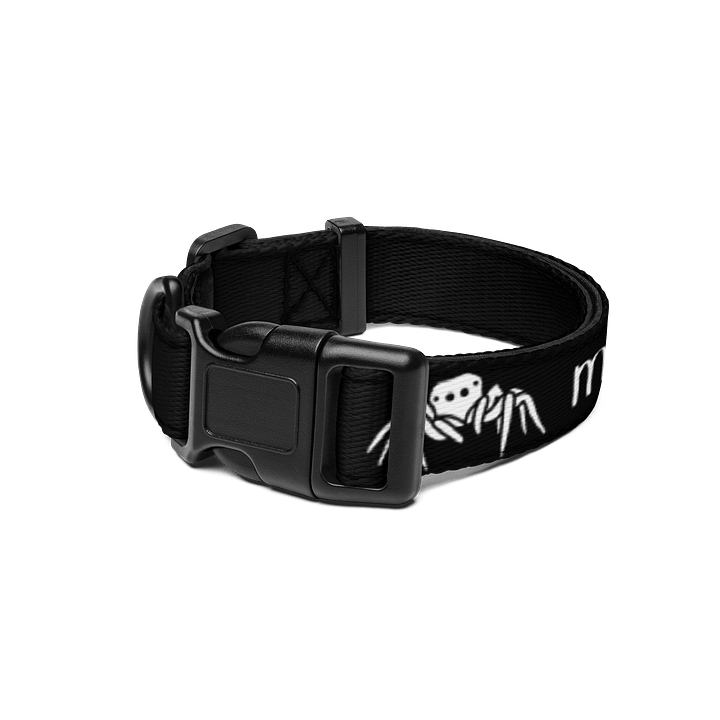 "My other dog is a jumping spider" dog collar product image (1)