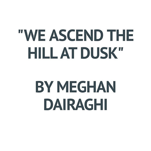 From Issue No. 2, “We Ascend the Hill at Dusk” by Meghan Dairaghi. Check it out via the link in our bio.