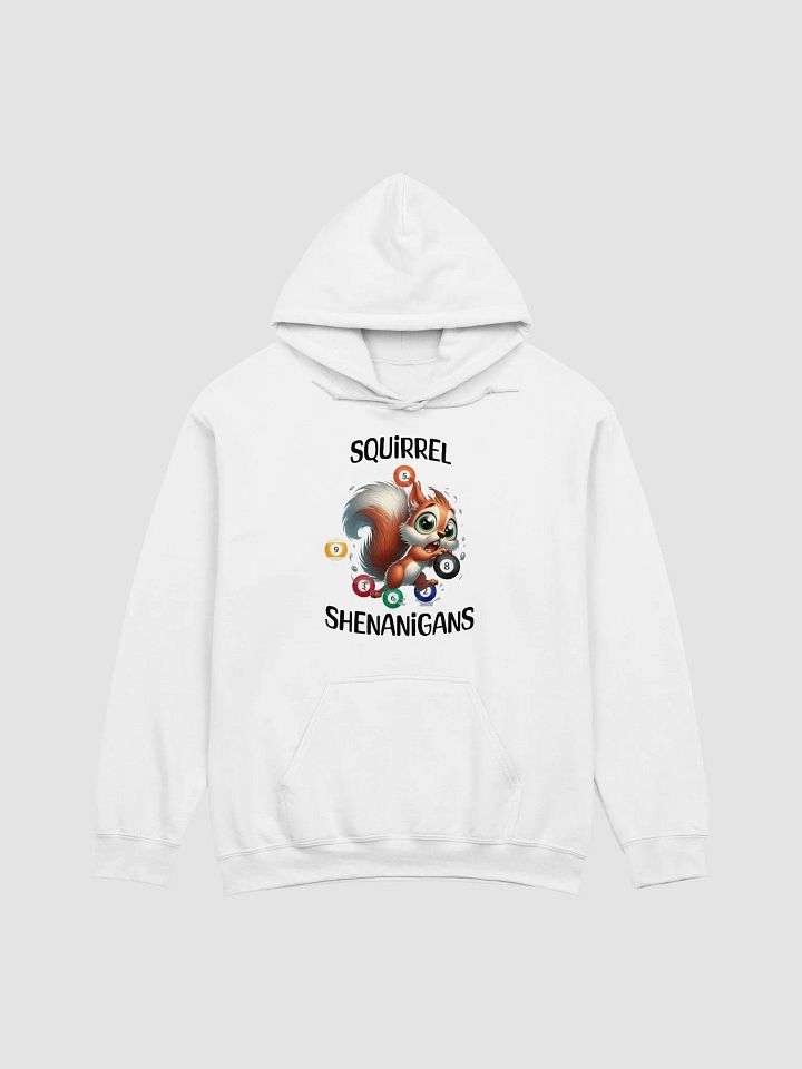 Squirrel Billiards Shenanigans Graphic Hoodie product image (2)