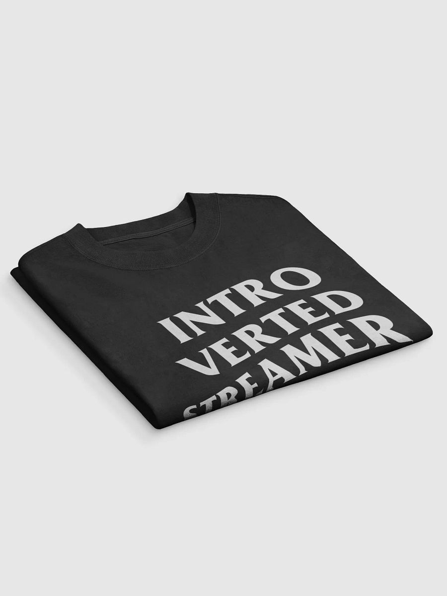 Introverted Streamer Club "B&W" Oversized Tee product image (3)