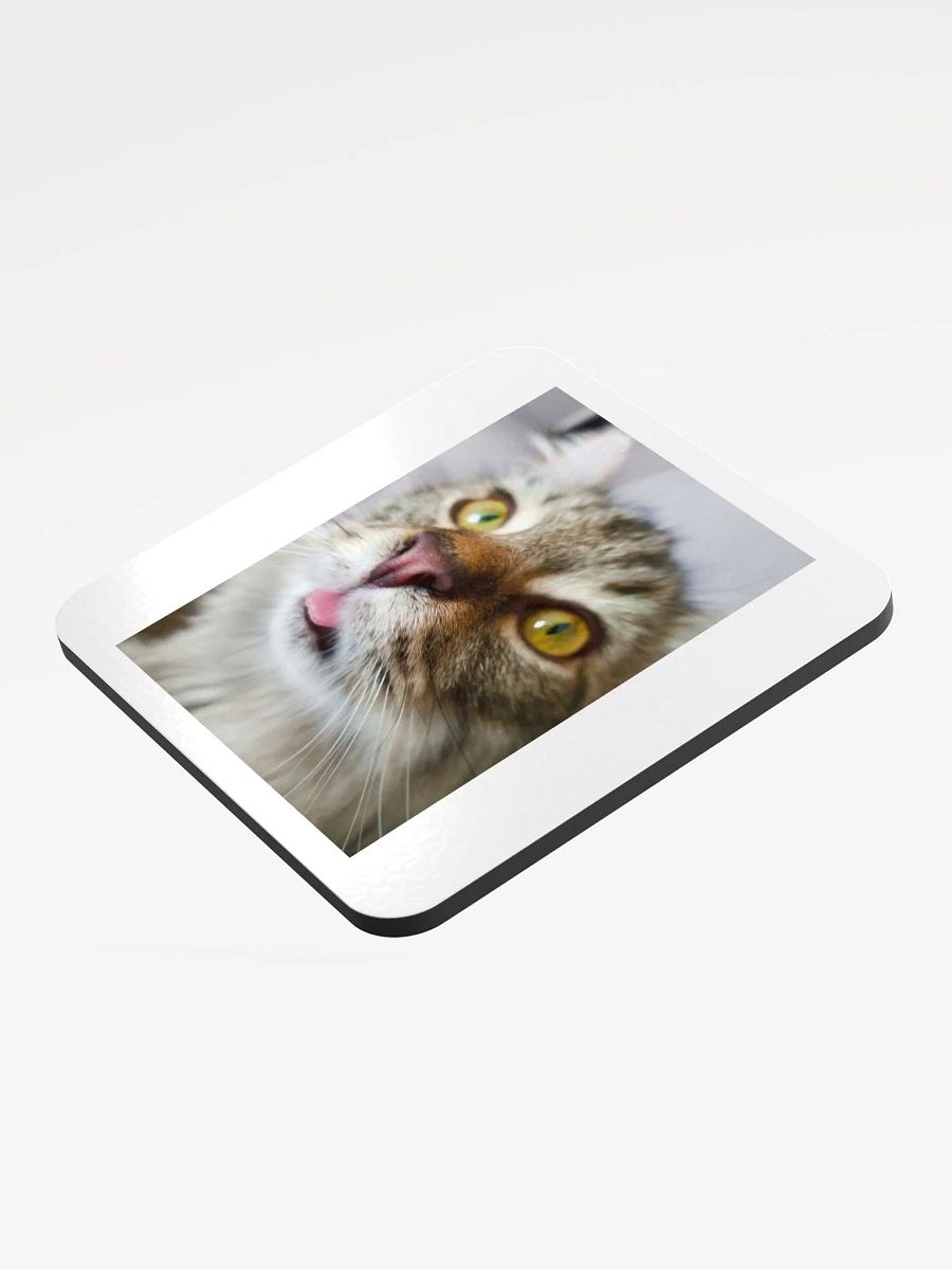 FidgGOON Coaster product image (3)