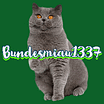 Bundesmiau1337
