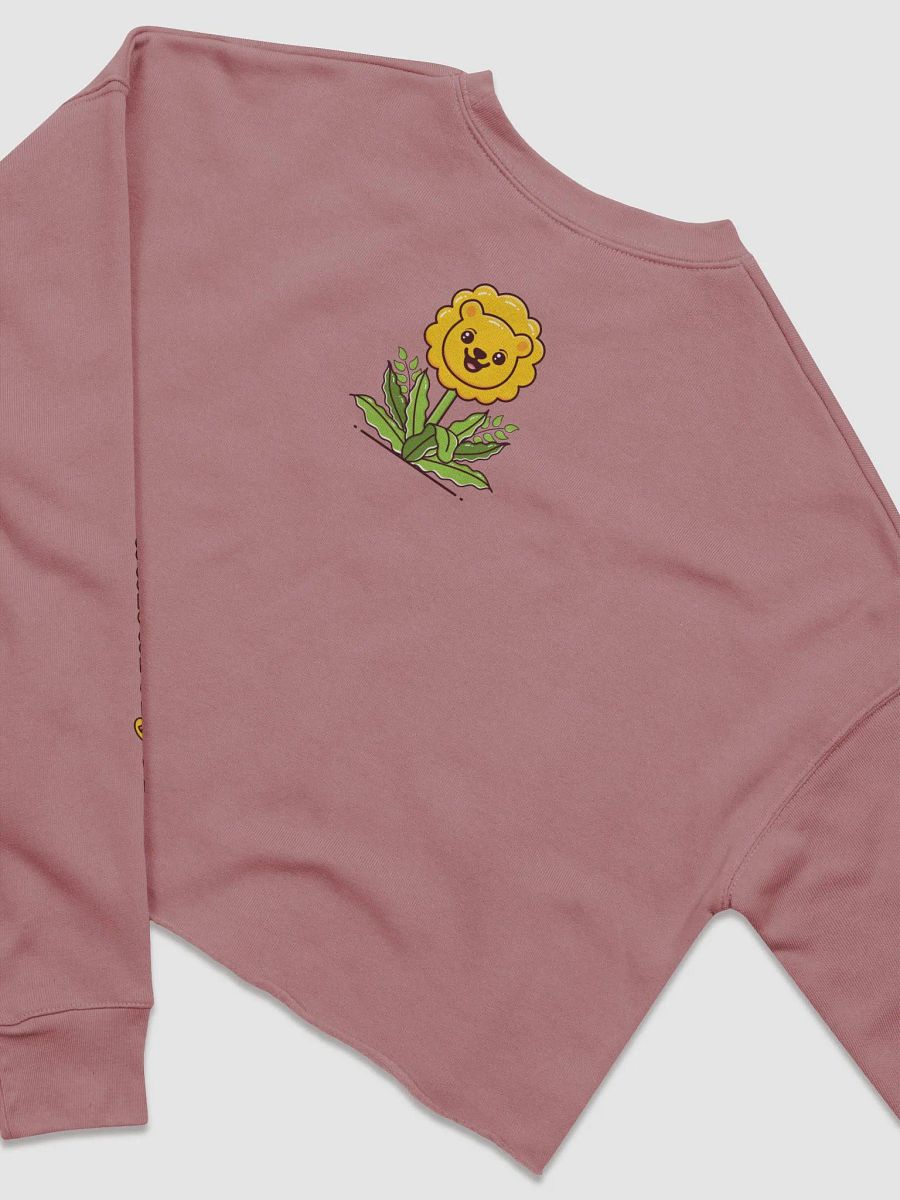 dandielyon cropped sweatshirt product image (31)