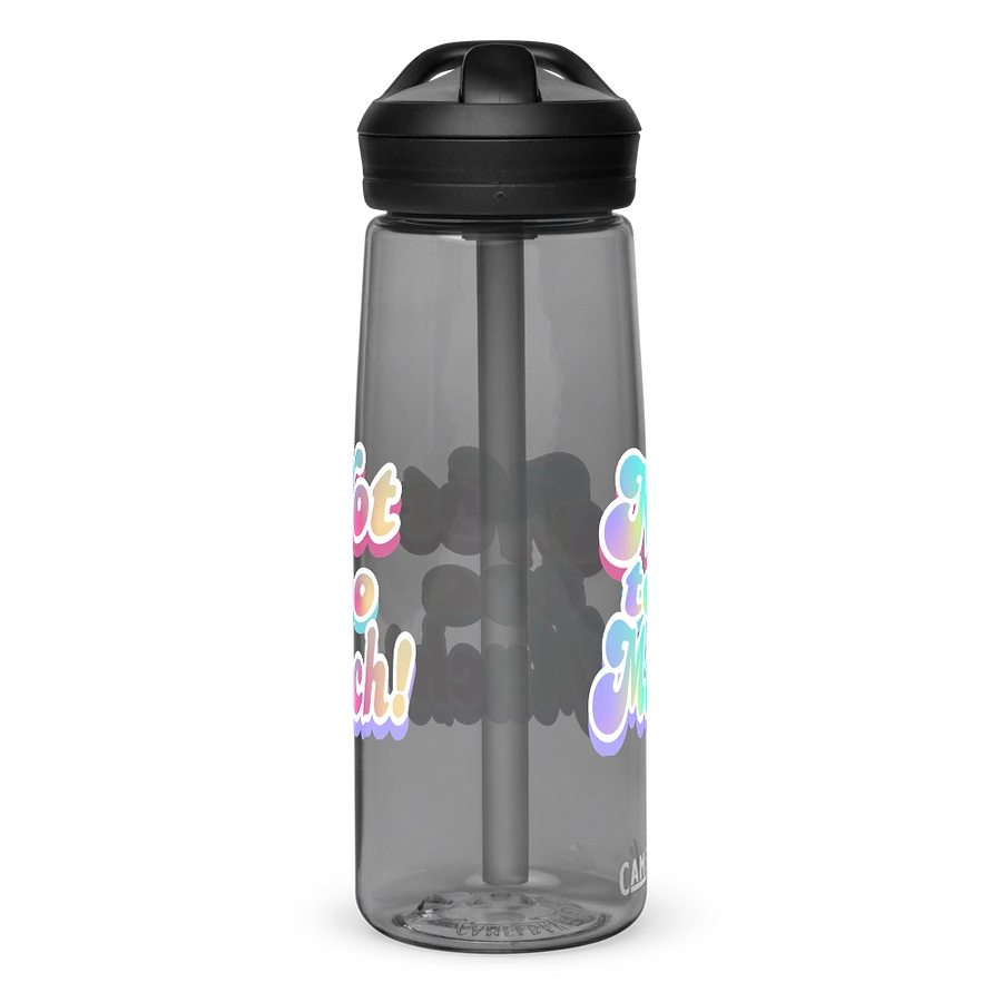 Whimsical Double 'Not Too Much' Water Bottle product image (22)