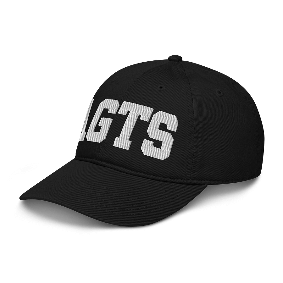 AGTS Organic Dad Hat by Econscious product image (4)