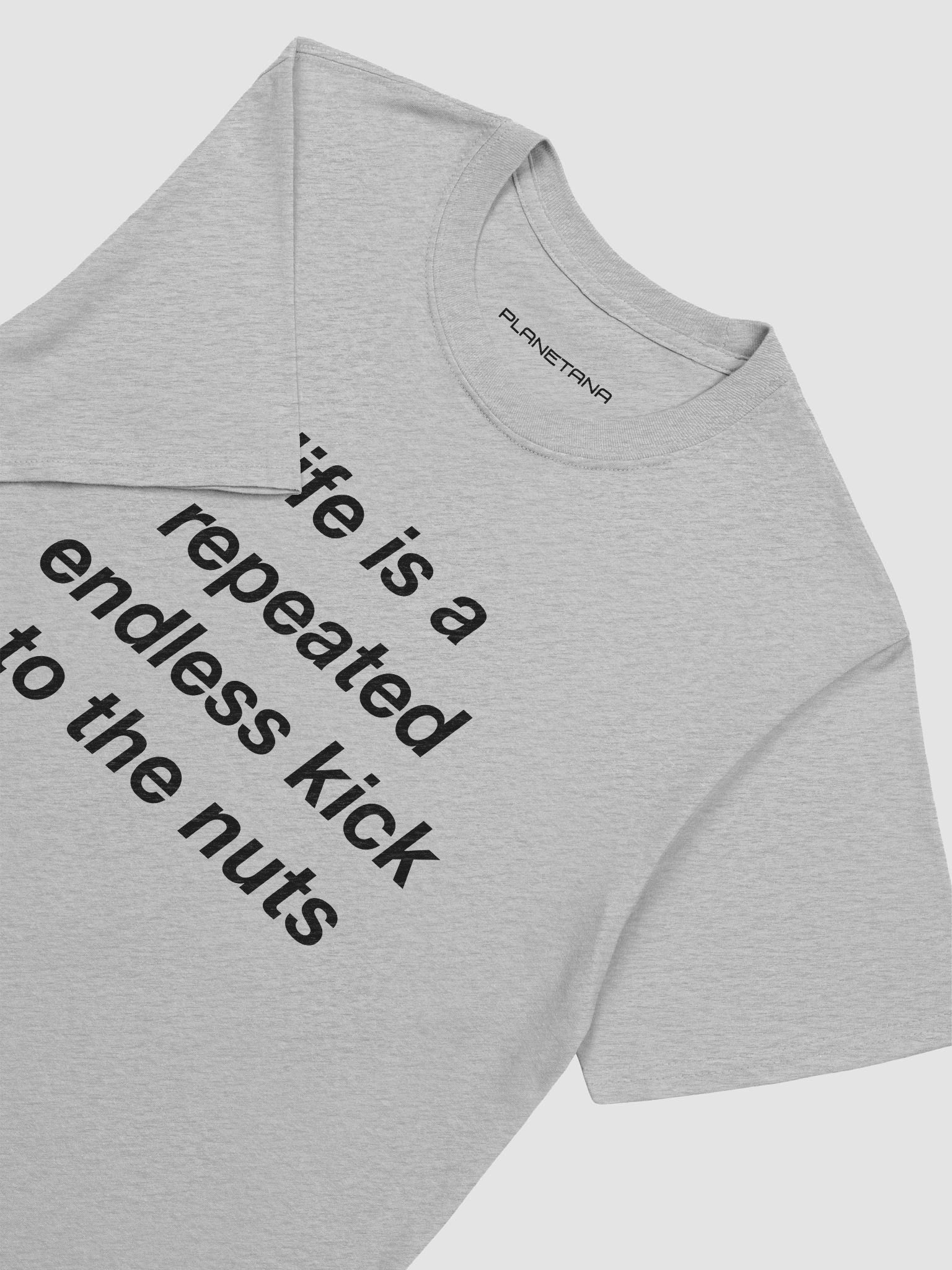 Life is repeated endless kick to the nuts product image (13)