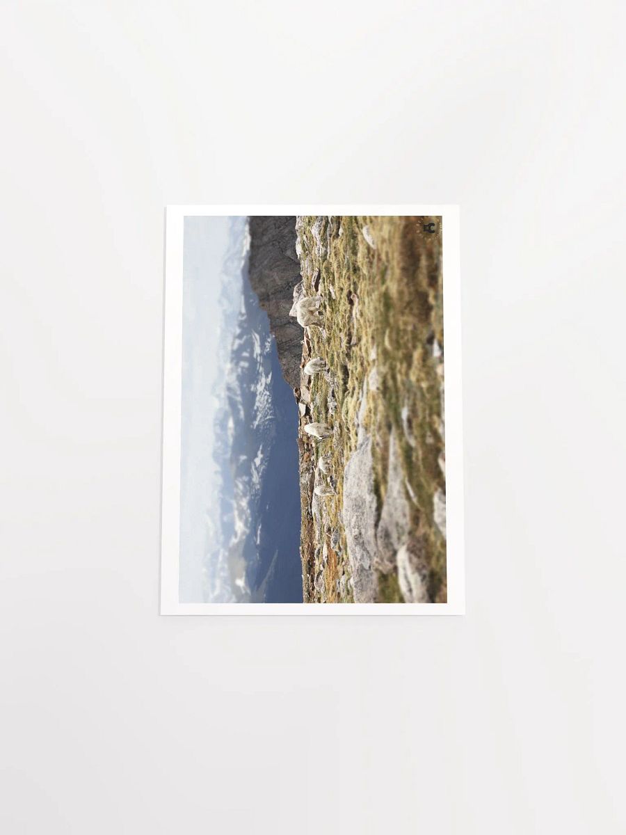 Mountain Goats Grazing Poster product image (30)