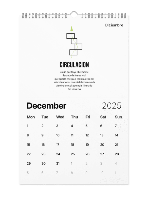 Espanol Implicito-Spanish Implied 2025 Calendar-Calendario (Dias en ingles)-Now $10.50 Use promo code VIBES4LOVE at checkout product image (12)