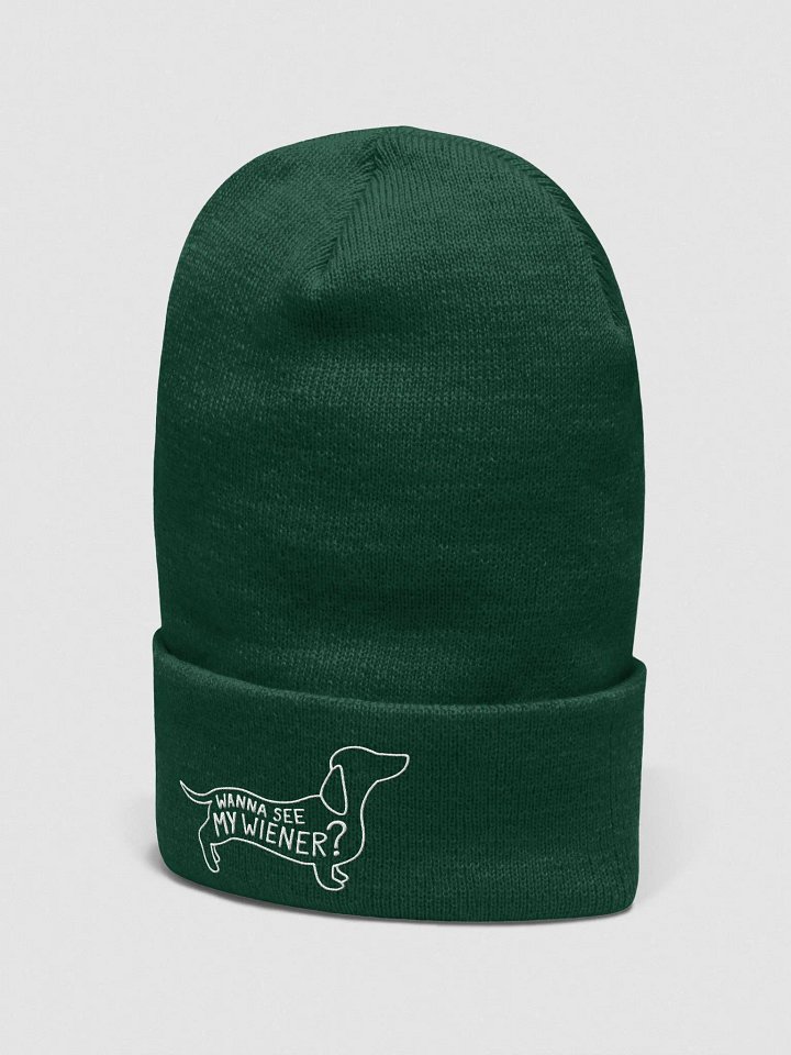 Wanna See My Wiener? Embroidered Toque product image (27)