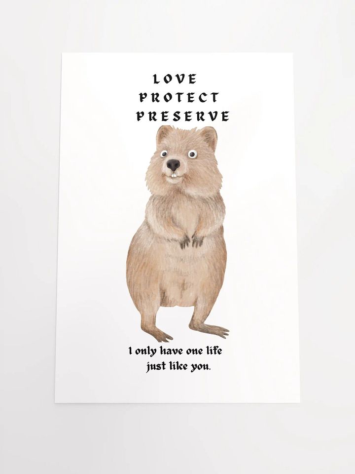 Poster AUSTRALIAN QUOKKA product image (3)