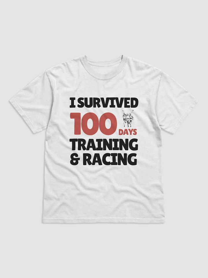 100 Days Challenge Tee product image (1)