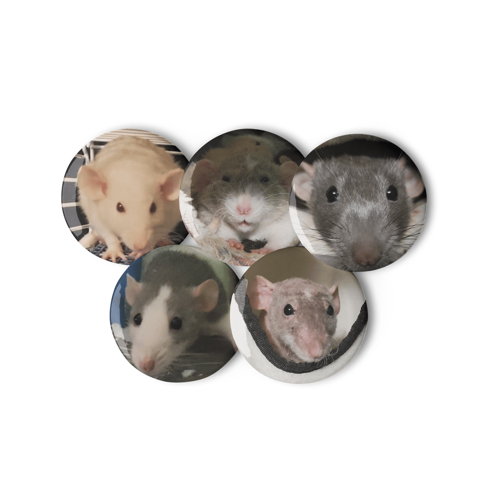 Rat Pictures 2 || Set of Pin Buttons product image (2)