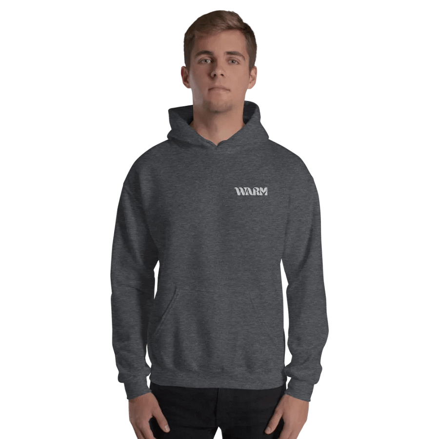 Gildan Classic Hoodie By Warm Qoute product image (107)