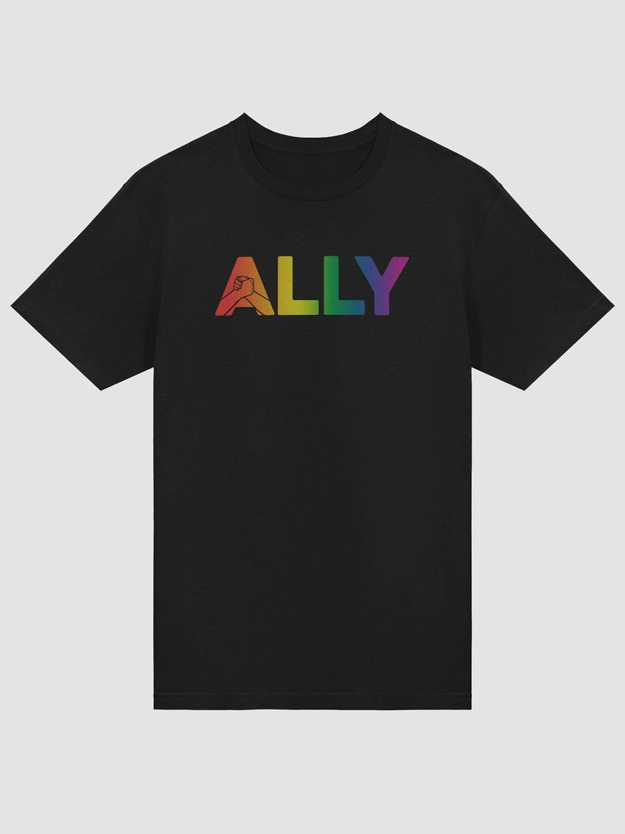 Ally Rainbow Connection Unisex Tee product image (35)