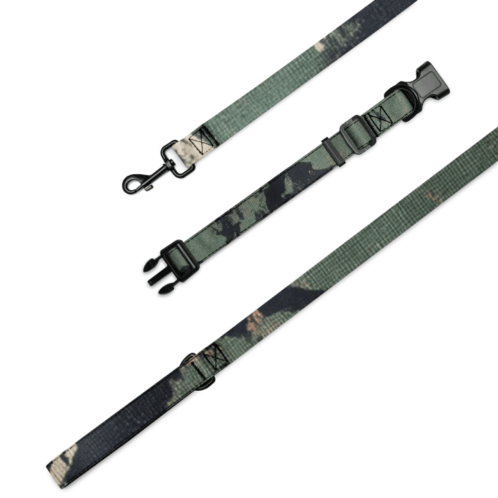 Spectrum Splendor Pet Collar & Leash Set product image (4)