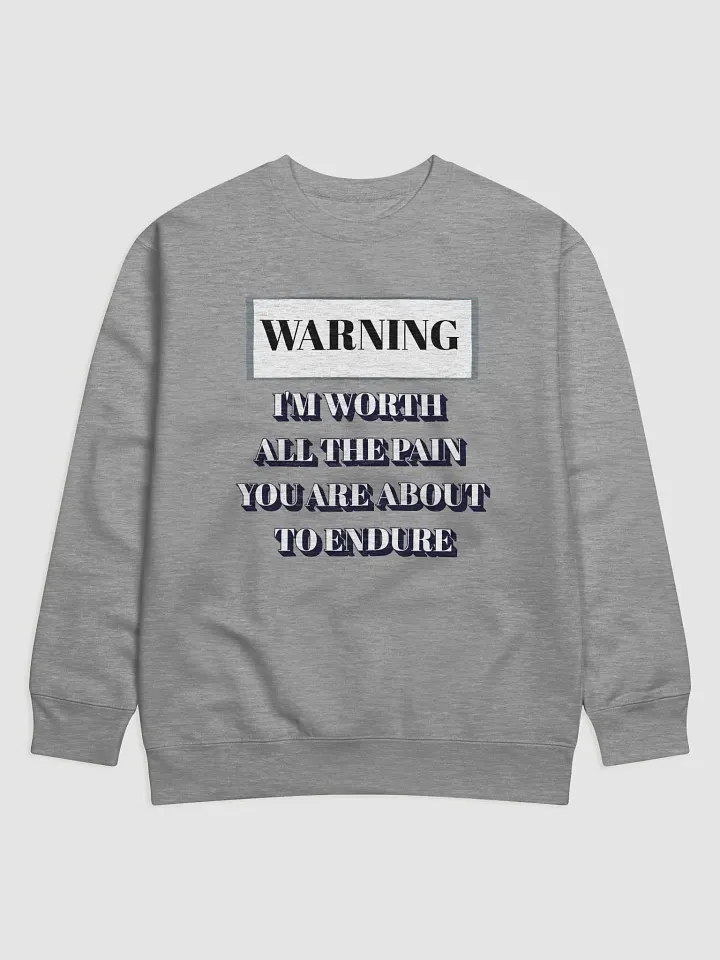 I'm Worth All The Pain You Are About To Endure Sweatshirt product image (4)