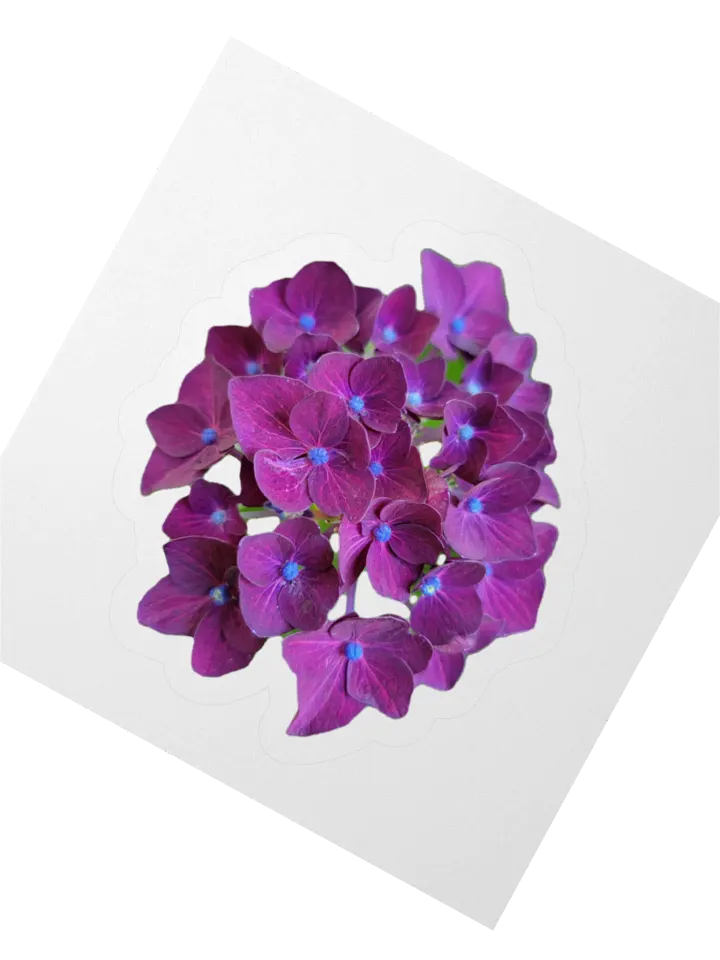 Flower Stickers v1 product image (2)