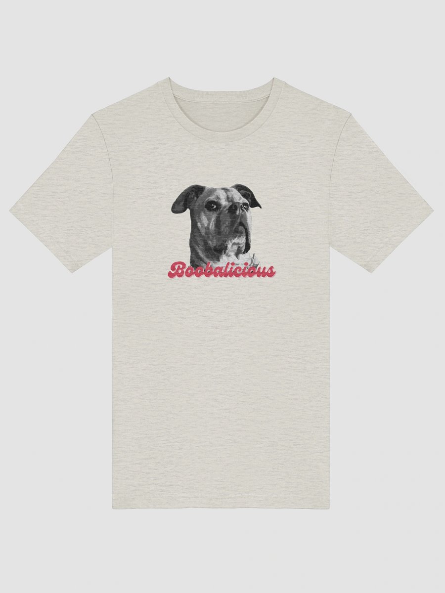 Boobalicious Unisex Graphic Tee product image (55)
