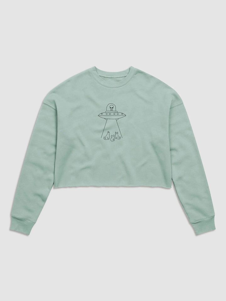 Beam Meows UFO Crop Sweatshirt product image (3)