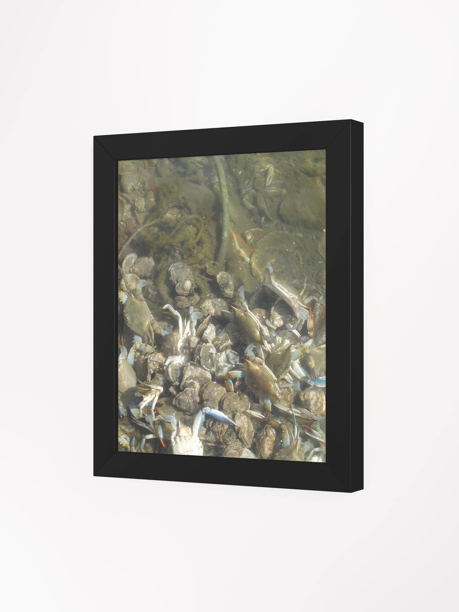 Murky Marine Life Framed Poster product image (40)