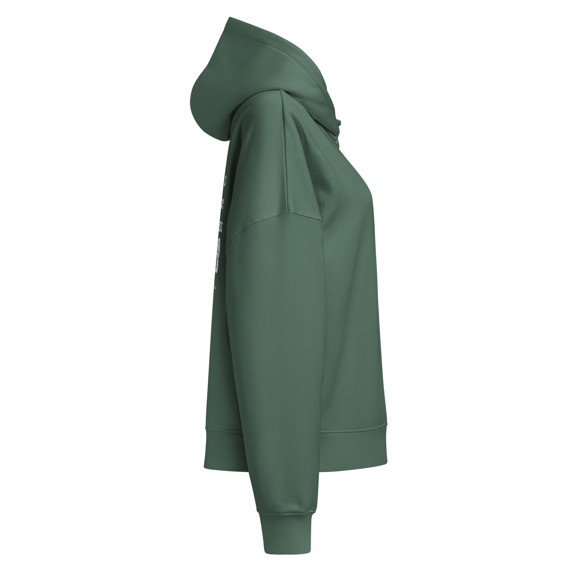 What a Friend We Have in Jesus, Hoodie product image (12)