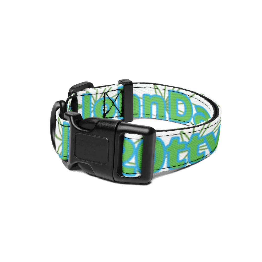 DaBot Collar product image (1)