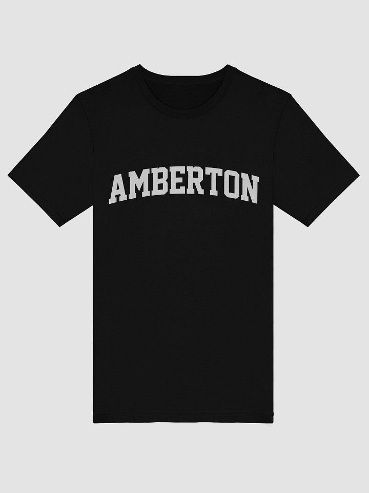 Amberton College University Sports Athletic T-Shirt product image (2)
