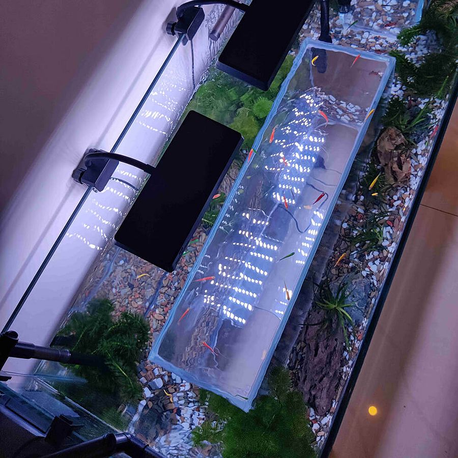 Bottom Entrance Cat Aquarium product image (4)