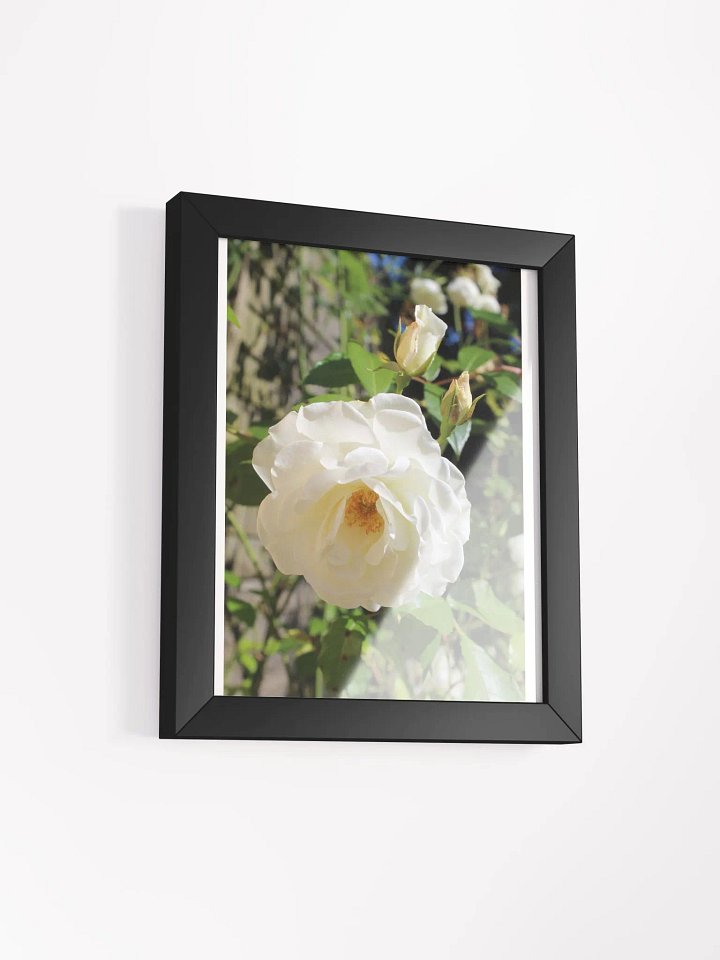 Heaven scent product image (11)