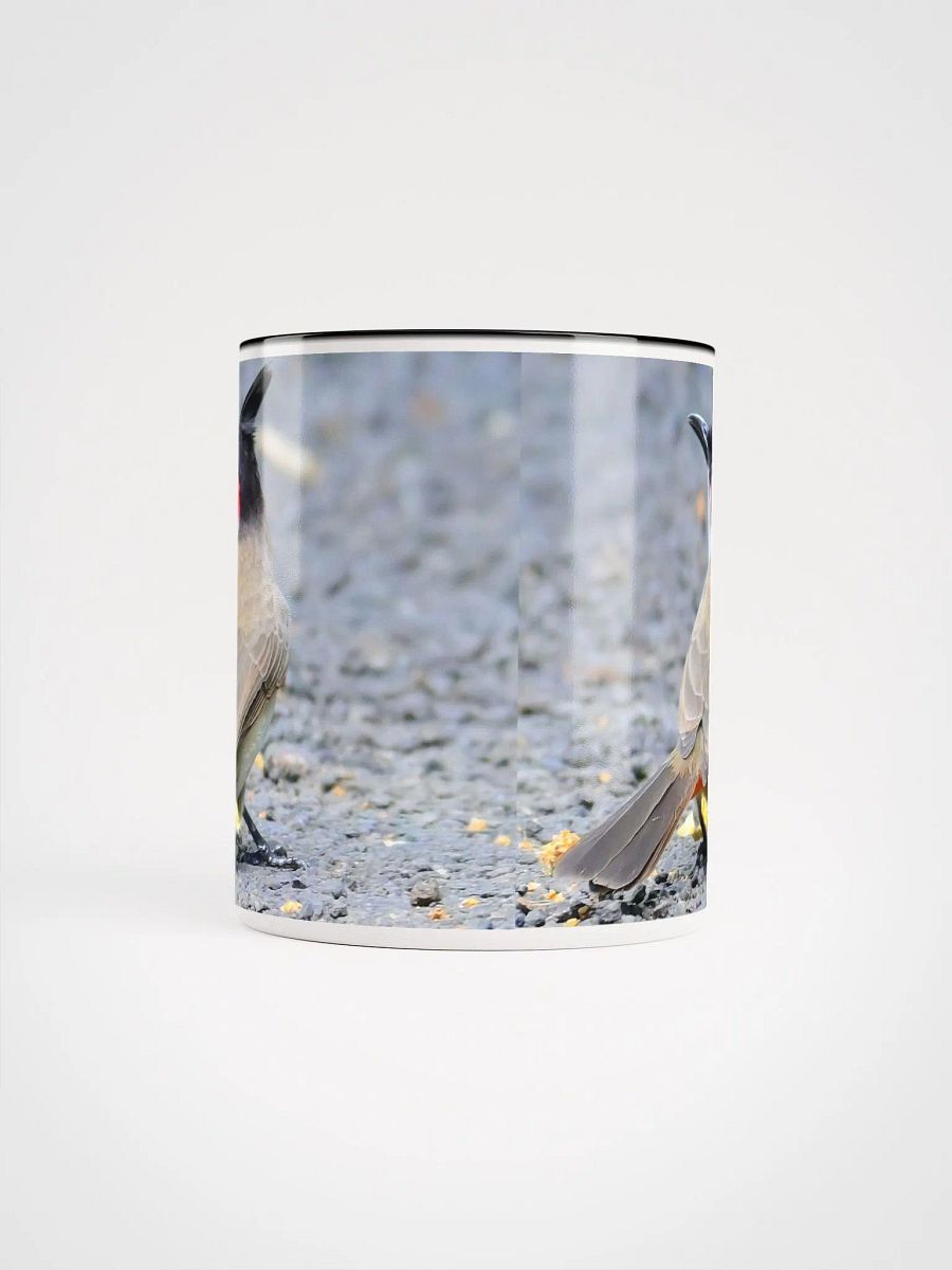 IUCAA Birds Photos product image (5)