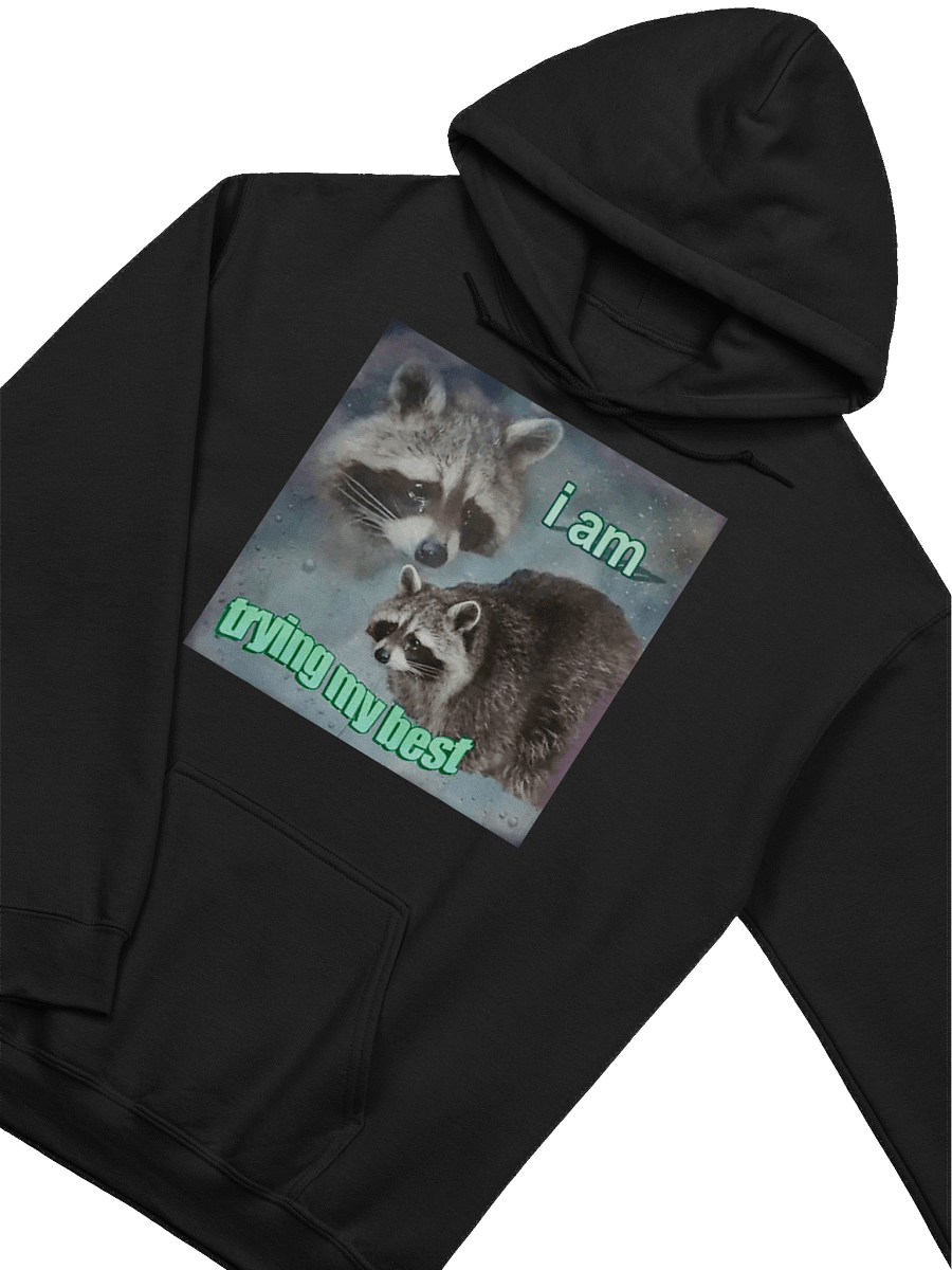 I Am Trying My Best Hoodie product image (3)