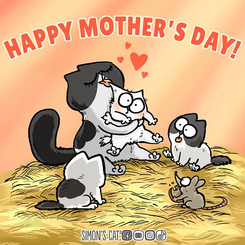 Happy Mother's Day to anyone that celebrates today! 💖😺 To all the cat moms out there...