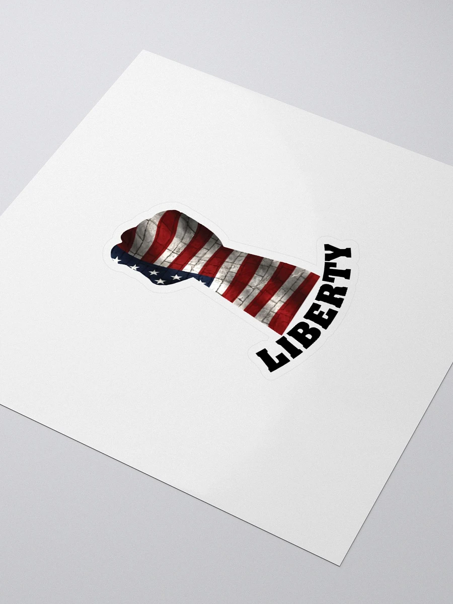 LIBERTY! product image (9)