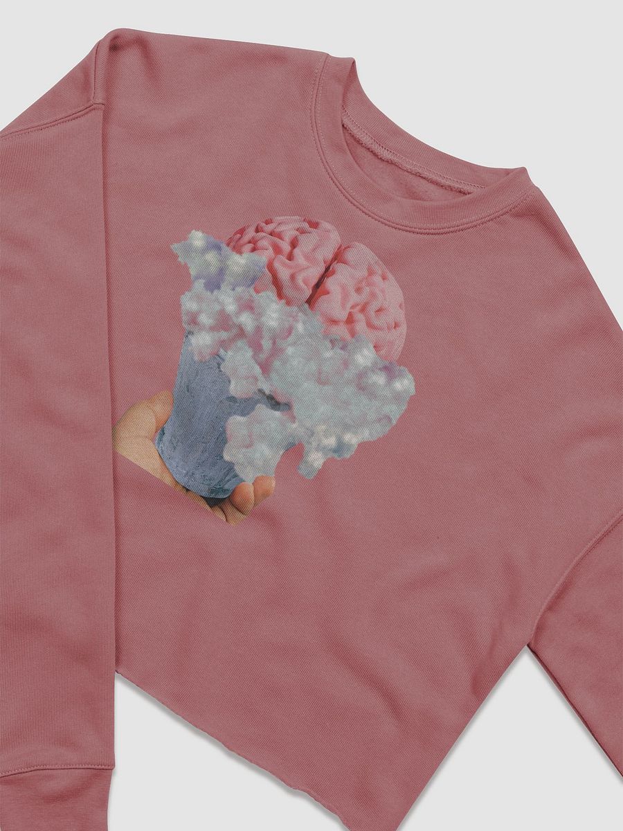 Brain Bath Cropped Sweatshirt product image (19)