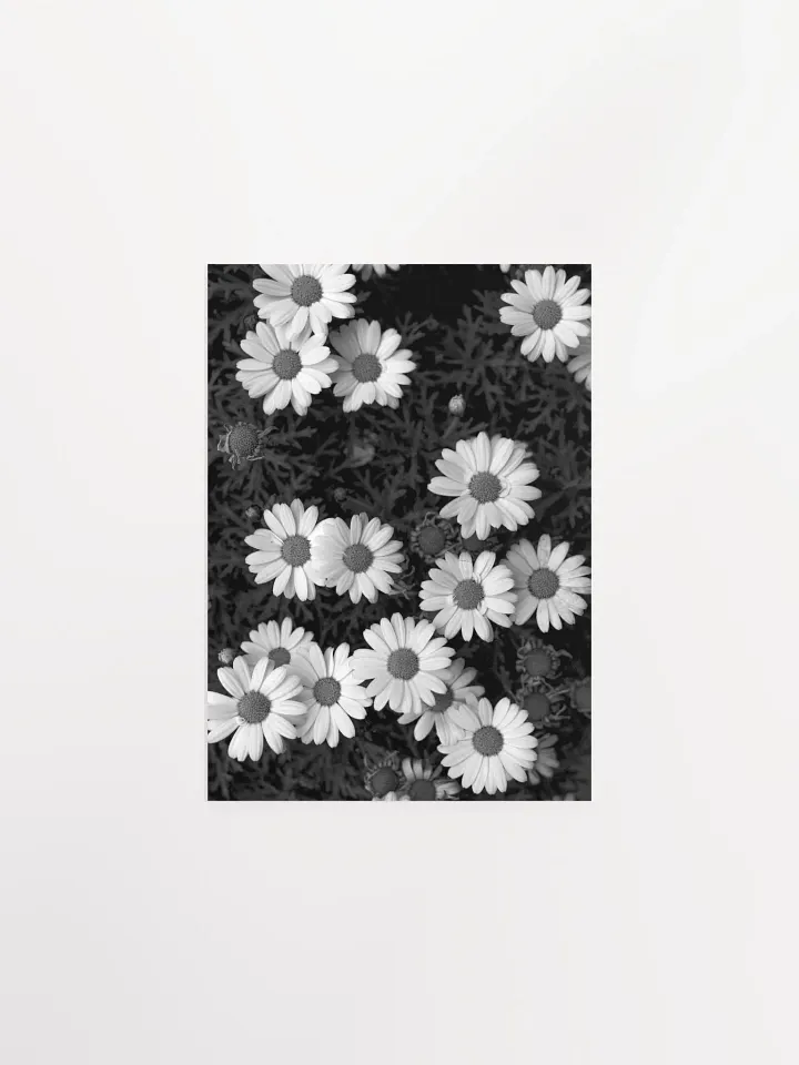 Margaritas - Enhanced Matte Paper Poster product image (1)