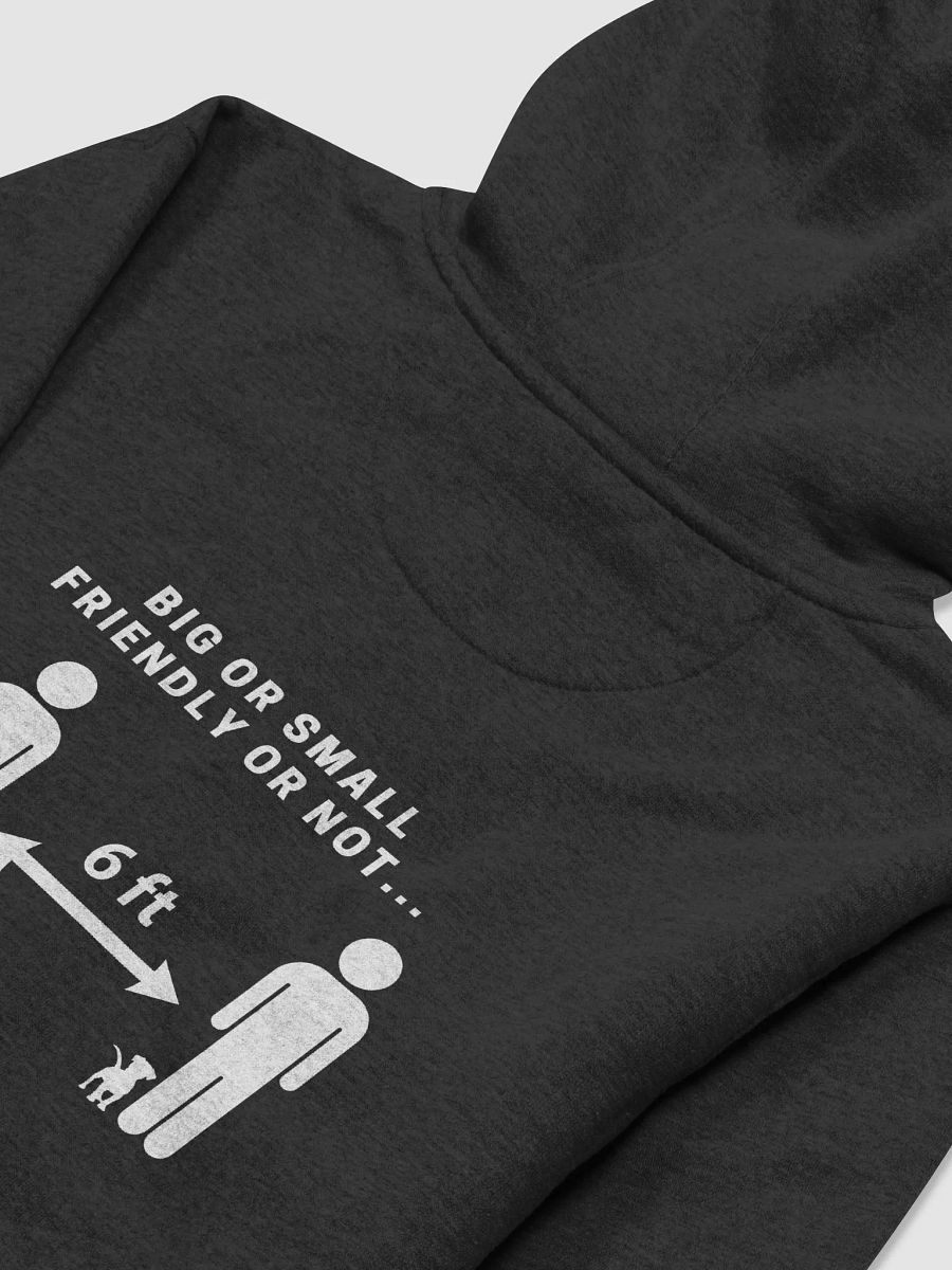 Adventure Together 6ft Back Hoodie product image (26)