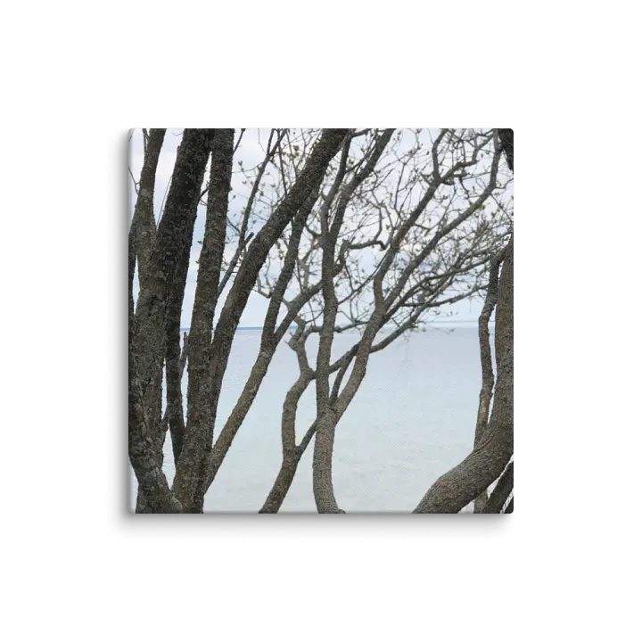 Winding Branches Canvas product image (1)