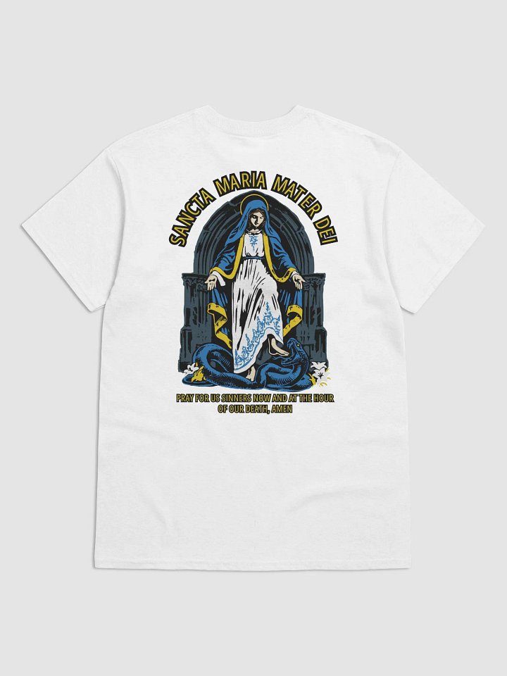 Most Holy Mary Theotokos Ora Pro Nobis product image (1)
