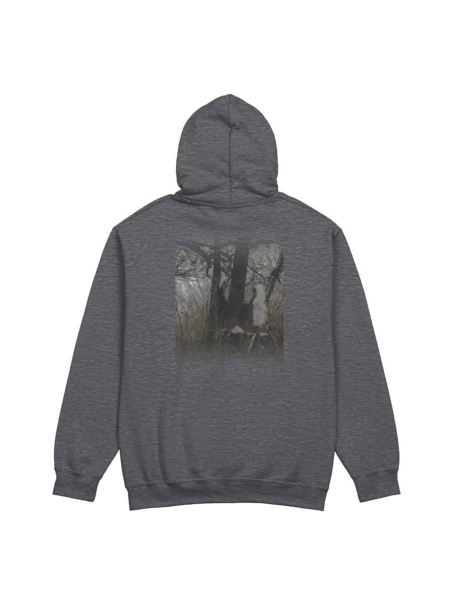 Elec Gateway Special Hoodie product image (2)