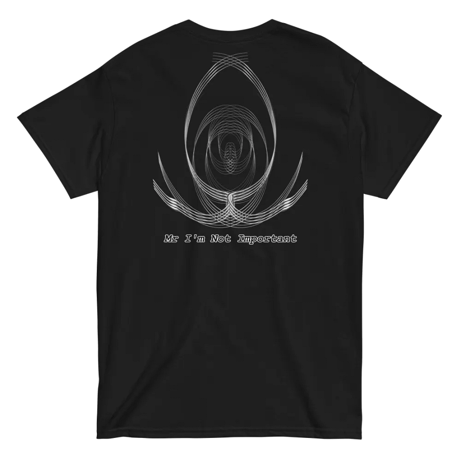 Aaron - Embroidered - Heavyweight T-Shirt - Mr. I'm Not Important product image (12)