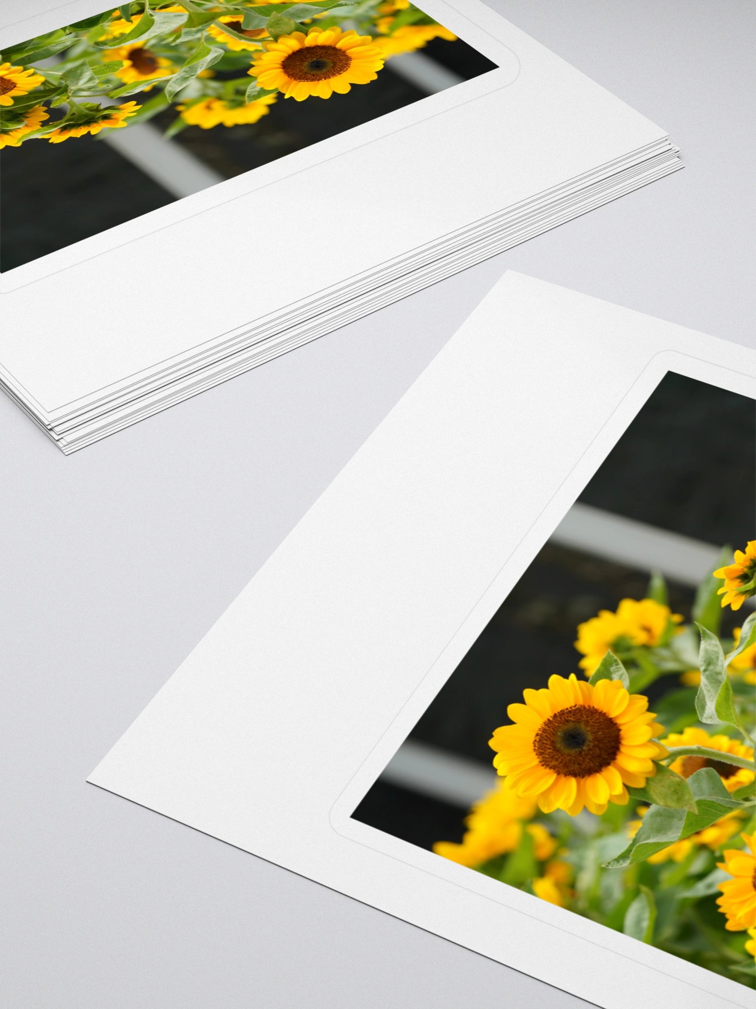Sunflower Serenade Kiss Cut Stickers product image (4)