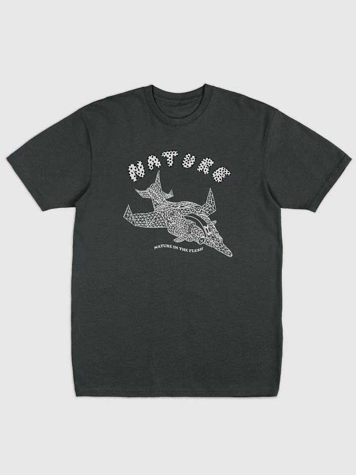 Ascension Ship Tee product image (1)