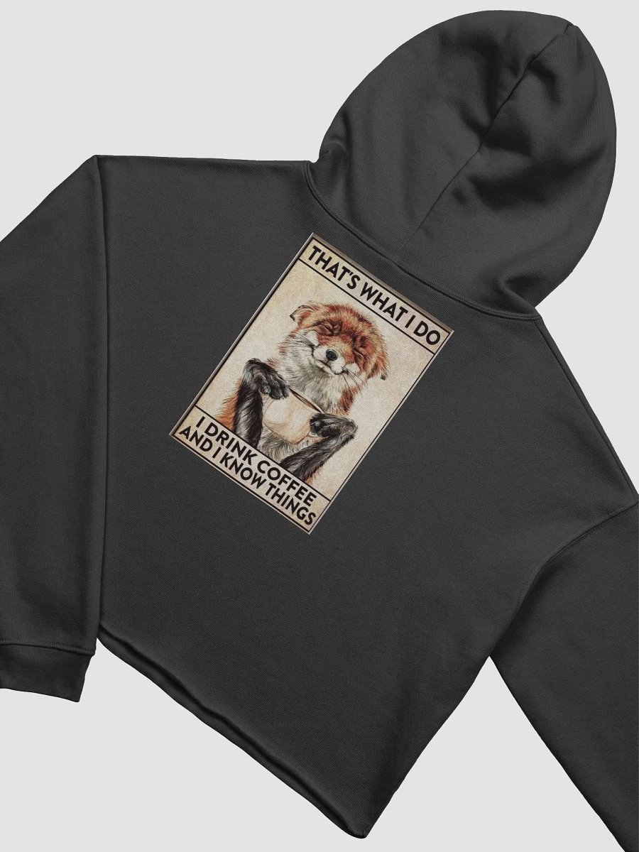Fox Hoodie product image (12)