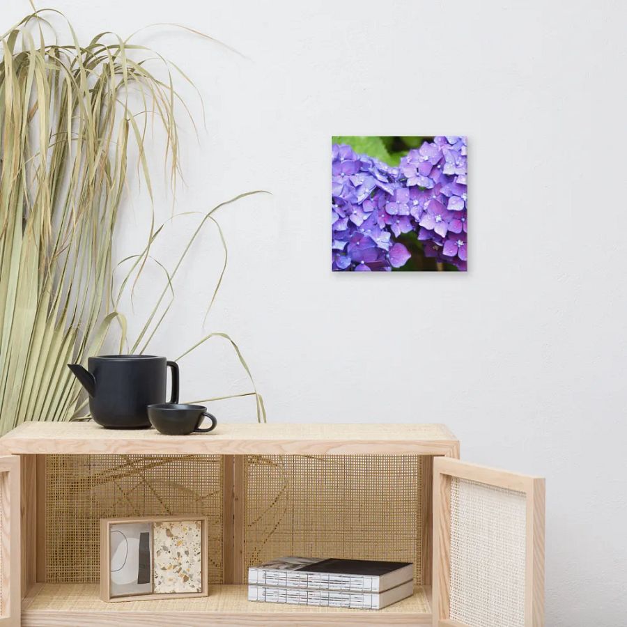 Hydrangeas product image (6)